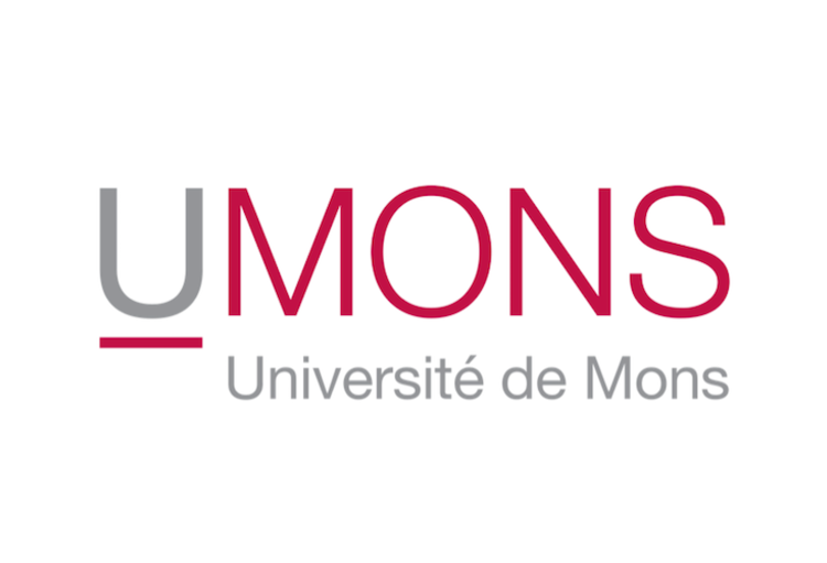 University of Mons